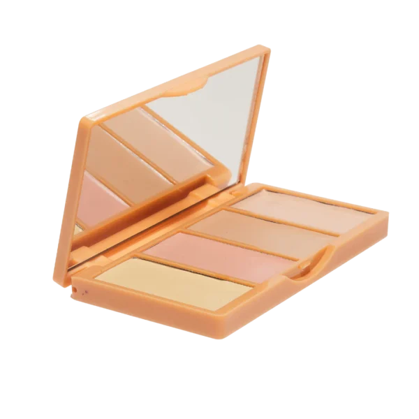 BELLAPIERRE- Universal Concealer Palette